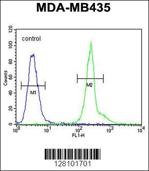 PRPSAP1 Antibody