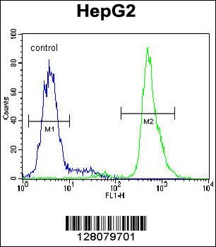 SERPINI1 Antibody