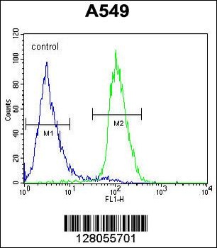 CIART Antibody