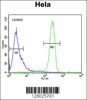 EFTUD1 Antibody