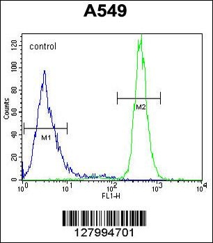 WFDC12 Antibody