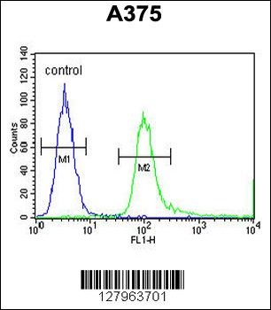 SPDYE3 Antibody