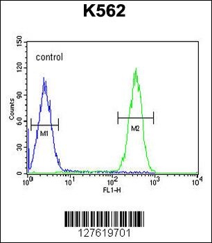 FBXW12 Antibody