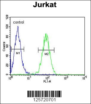 CLDN22 Antibody