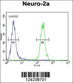 MAF1 Antibody