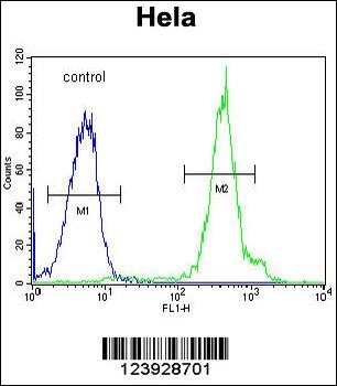 FUS Antibody