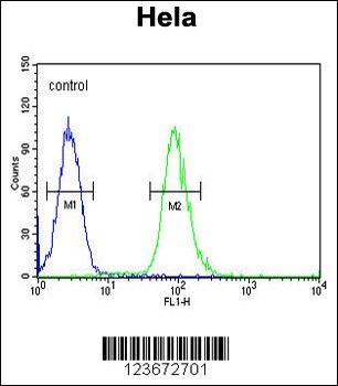 CLDN7 Antibody