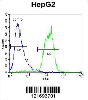 ACOT11 Antibody