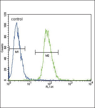 ADH4 Antibody