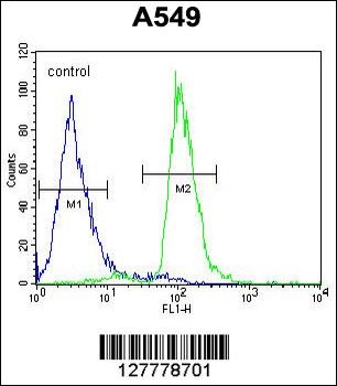 C12orf48 Antibody