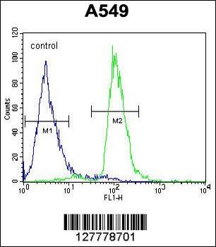 PARPBP Antibody