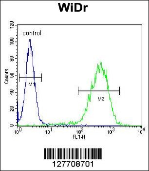 CHCHD2 Antibody