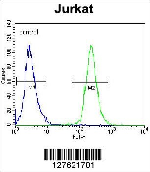 POTEB Antibody