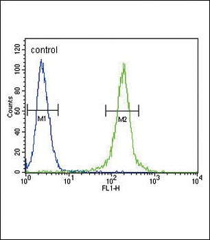 AMH Antibody