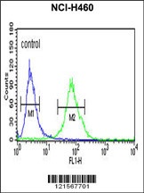 GC Antibody