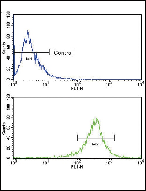 FGFR4 Antibody