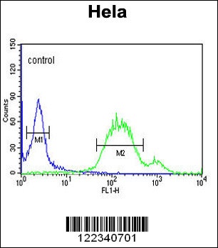 WNT5A Antibody