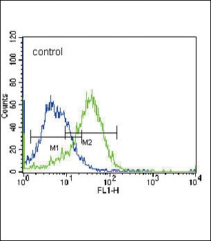 FADS2 Antibody