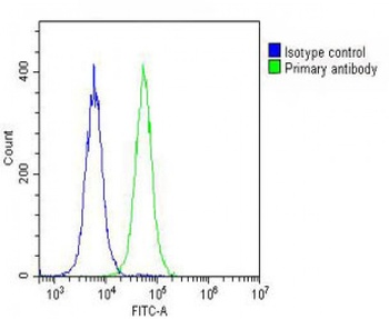 IGF2 Antibody