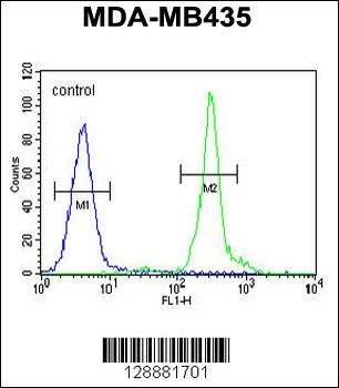 GFRAL Antibody