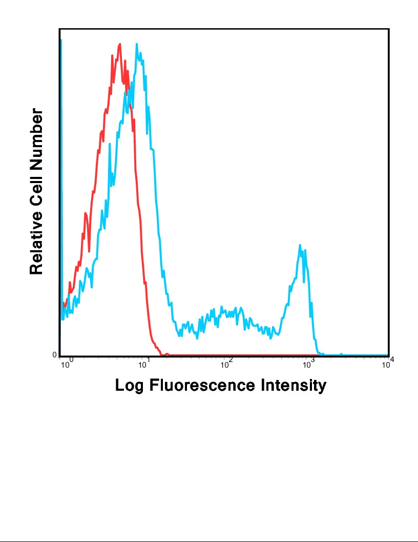 CD8A Antibody (FITC)