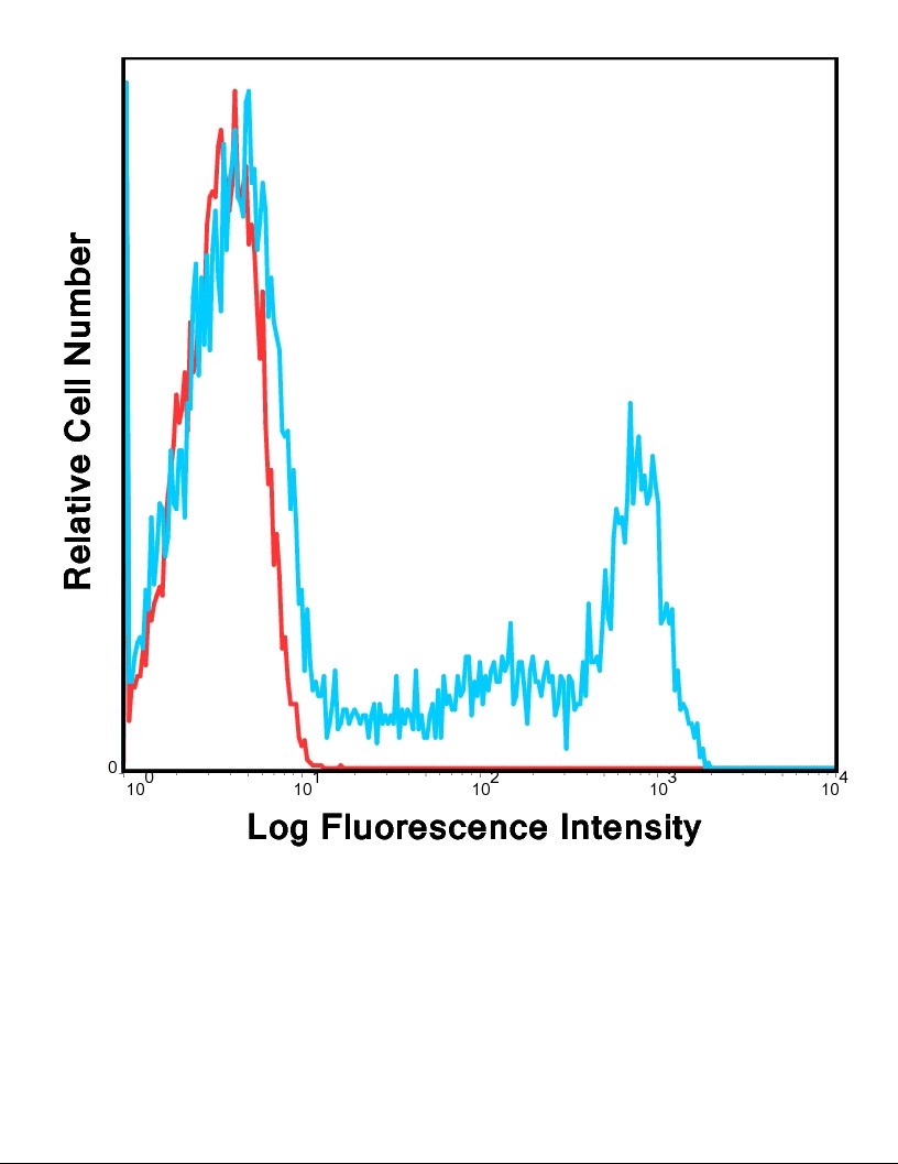 CD8A Antibody (FITC)