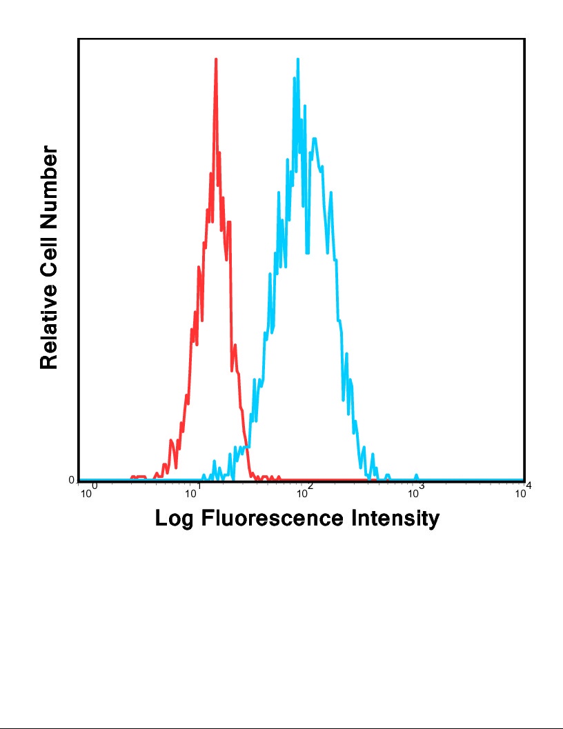 ICAM1 Antibody (FITC)