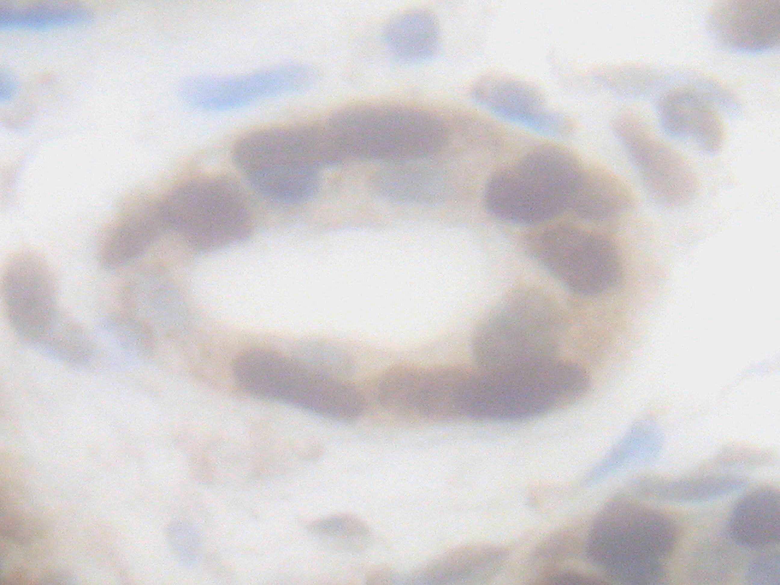 FGF-basic Antibody