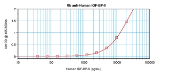 IGF-BP5 Antibody