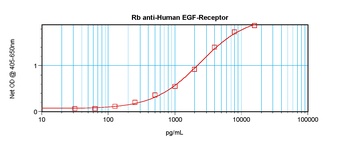 EGFR Antibody