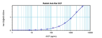 Kitlg Antibody