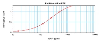 Egf Antibody