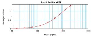 Vegfa Antibody