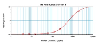 LGALS3 Antibody