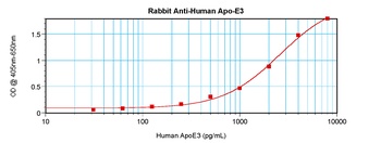APOE Antibody