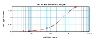 Retnla Antibody (Biotin)
