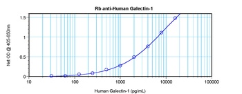 LGALS1 Antibody