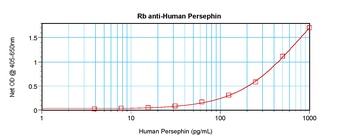 PSPN Antibody