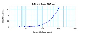 RETNLB Antibody (Biotin)