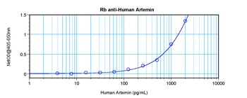 ARTN Antibody