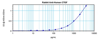CTGF Antibody