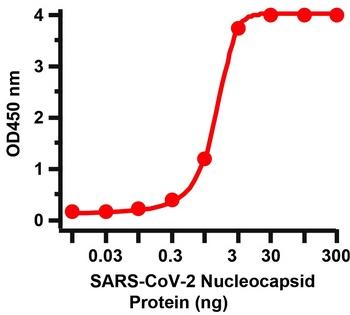 SARS-CoV-2 (COVID-19) Nucleocapsid Antibody [3868]