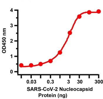 SARS-CoV-2 (COVID-19) Nucleocapsid Antibody [3866]