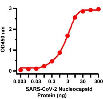 SARS-CoV-2 (COVID-19) Nucleocapsid Antibody [3866]