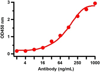 SARS-CoV-2 (COVID-19) Nucleocapsid Antibody [3864]