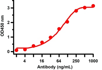 SARS-CoV-2 (COVID-19) Nucleocapsid Antibody [3863]