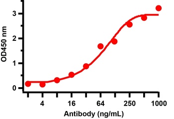 SARS-CoV-2 (COVID-19) Nucleocapsid Antibody [3862]