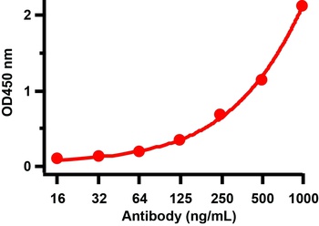 SARS-CoV-2 (COVID-19) Nucleocapsid Antibody [3861]