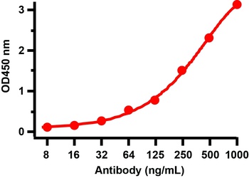 SARS-CoV-2 (COVID-19) Nucleocapsid Antibody [3861]