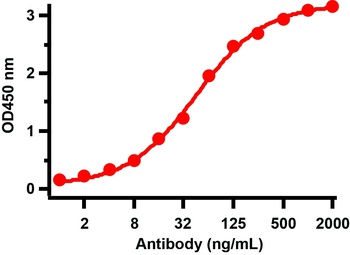 SARS-CoV-2 (COVID-19) Nucleocapsid Antibody [3851]